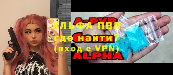 spice Бородино