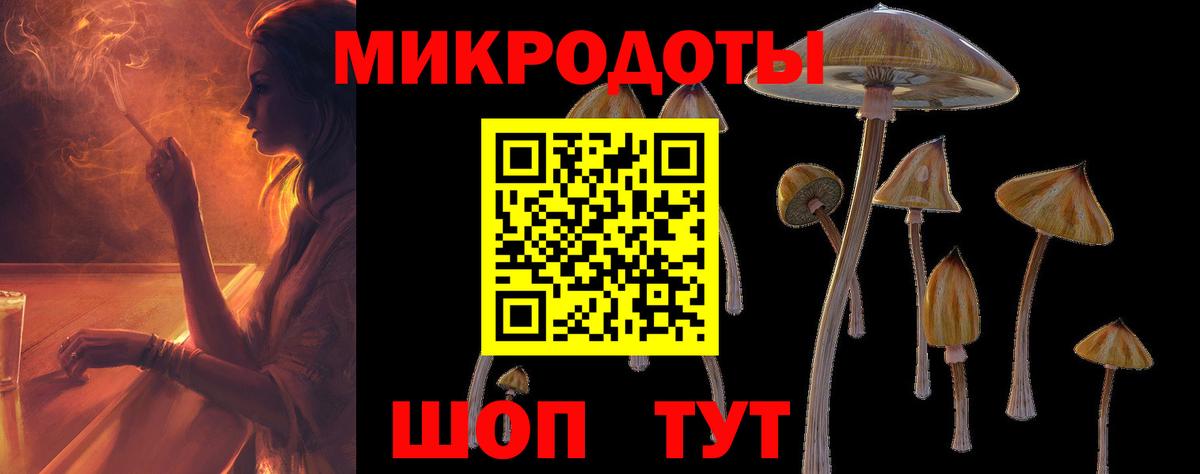 Псилоцибиновые грибы GOLDEN TEACHER Луховицы